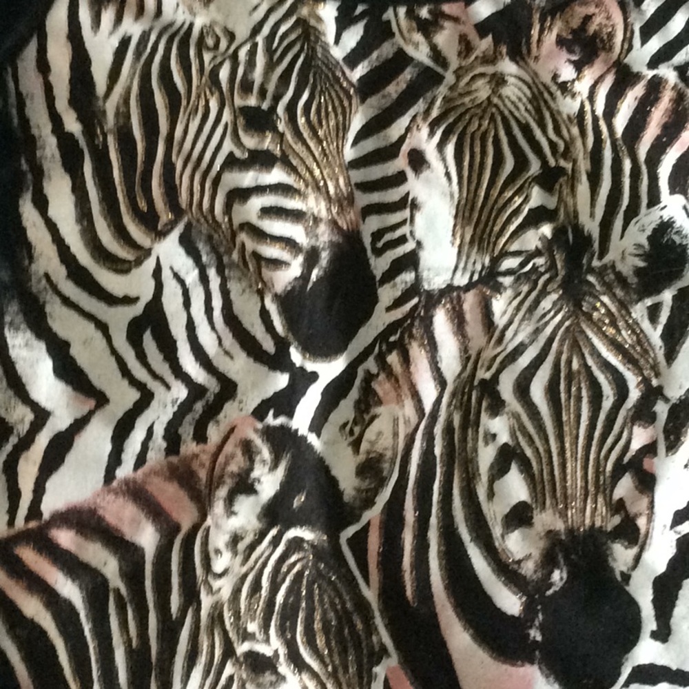 DRESSY EUC ZEBRA OUTFIT ♥️ - Picture 3 of 7